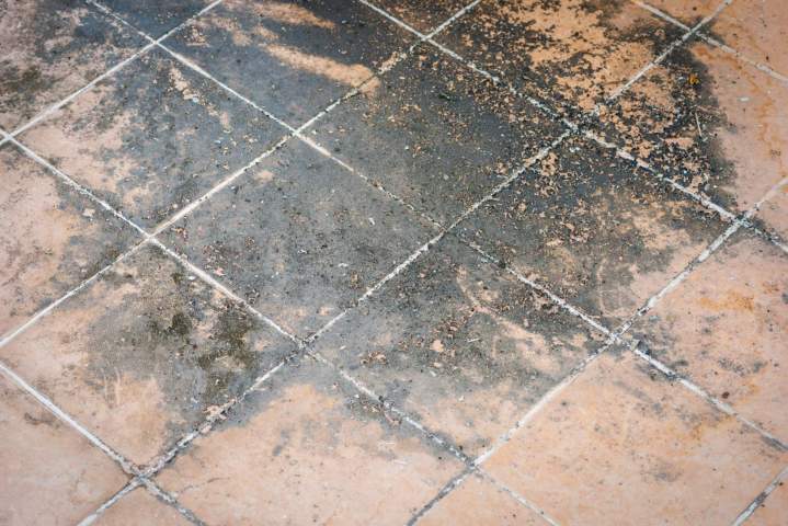 Commercial floor before restoration in Saint-Laurent