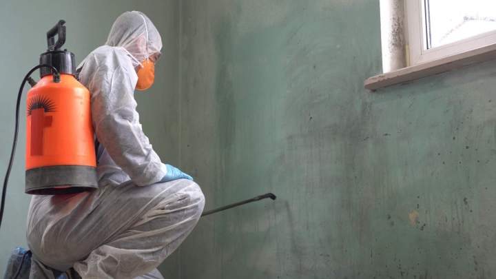 Disaster cleanup team in a commercial building